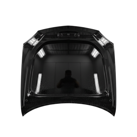 Локальное лакирование