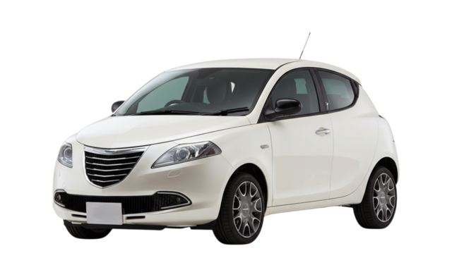 1 поколение