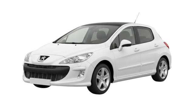 1 поколение