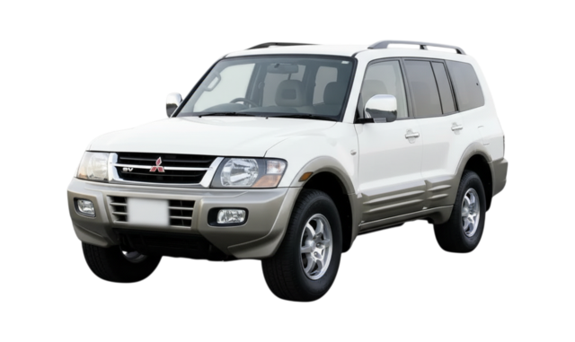 3 поколение