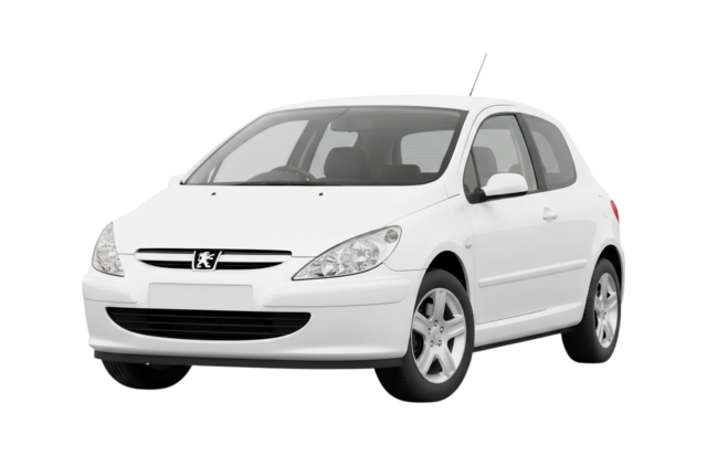 1 поколение