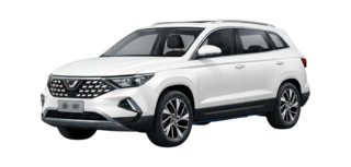 1 поколение