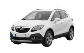 1 поколение