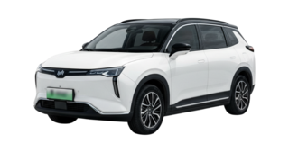 1 поколение