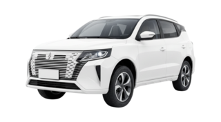 1 поколение