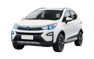 1 поколение