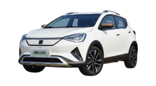 1 поколение