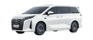 1 поколение