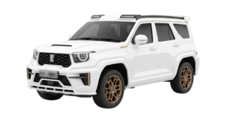 1 поколение